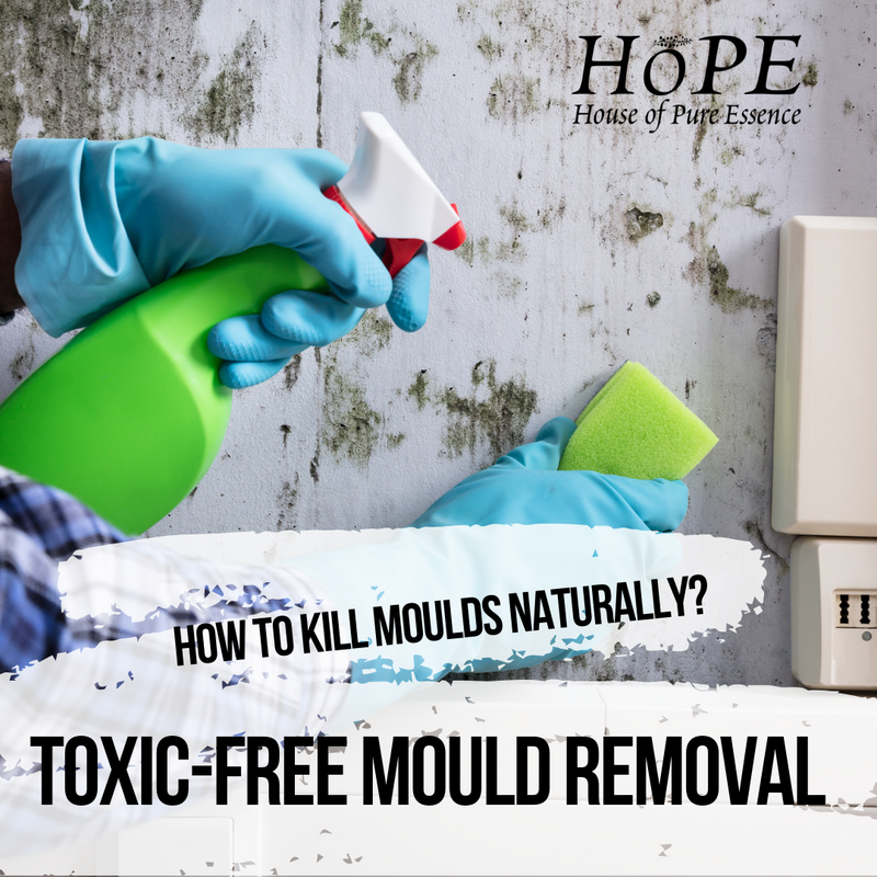 How to Kill Moulds Naturally House of Pure Essence (HoPE)