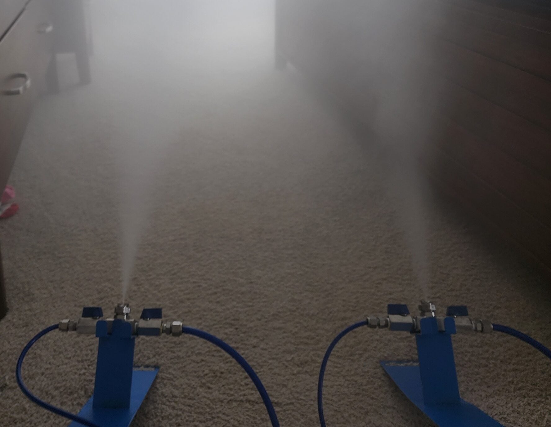 Mould removal FAQ — RenovationFind Blog