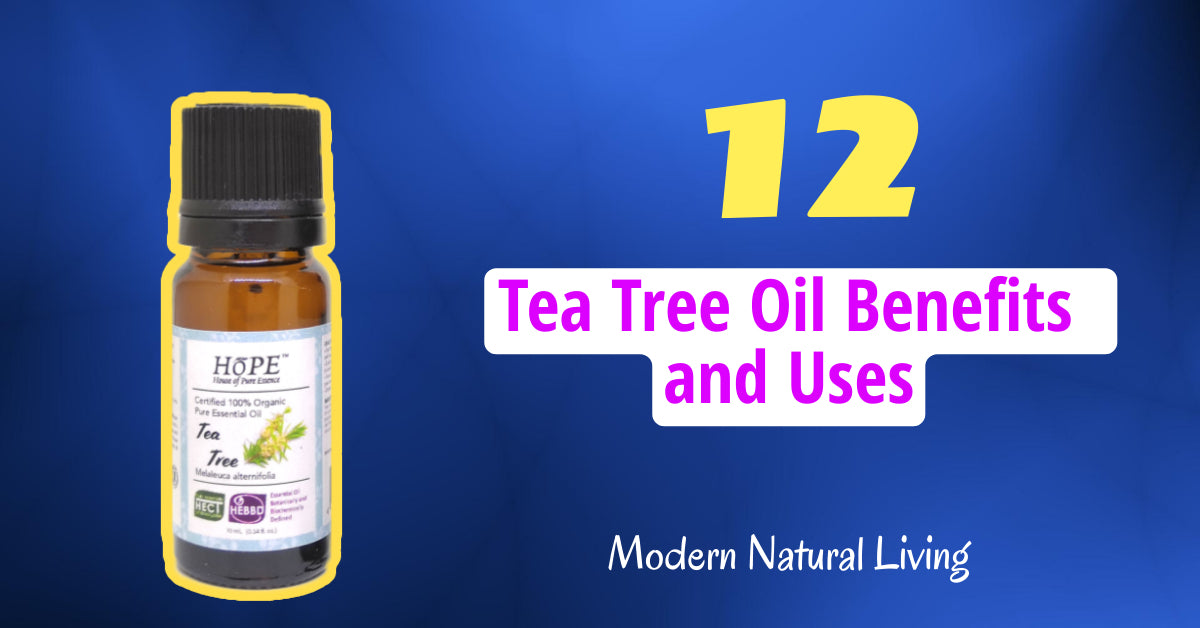 12 Tea Tree Oil Benefits and Uses