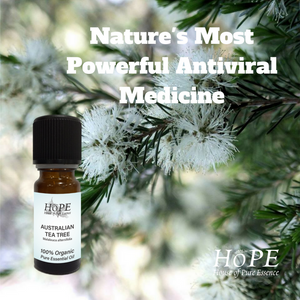 HoPE Tea Tree Oil - Nature's Most Powerful Antiviral Medicine