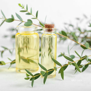 The Benefits of Eucalyptus Essential Oil - OMTimes Magazine