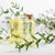 The Benefits of Eucalyptus Essential Oil - OMTimes Magazine