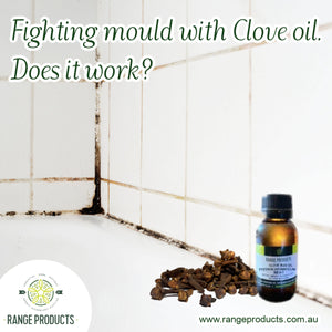 Fighting mould with Clove oil