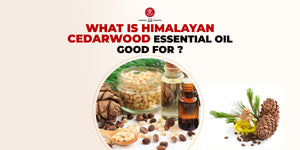 What Is Himalayan Cedarwood Essential Oil Good For?