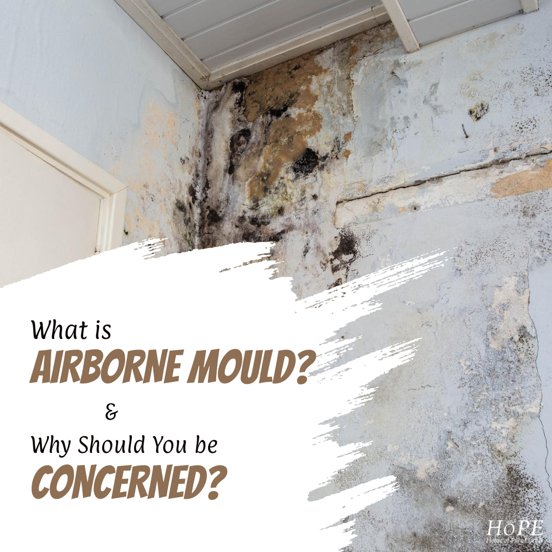 What is Airborne Mould and Why Should You be Concerned?