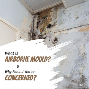 What is Airborne Mould and Why Should You be Concerned?
