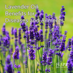 HOPEE Lavender Oil Benefits for diseases and ailments