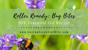 How to Make an Essential Oil Recipe for Bug Bites - DIY Roller Blend