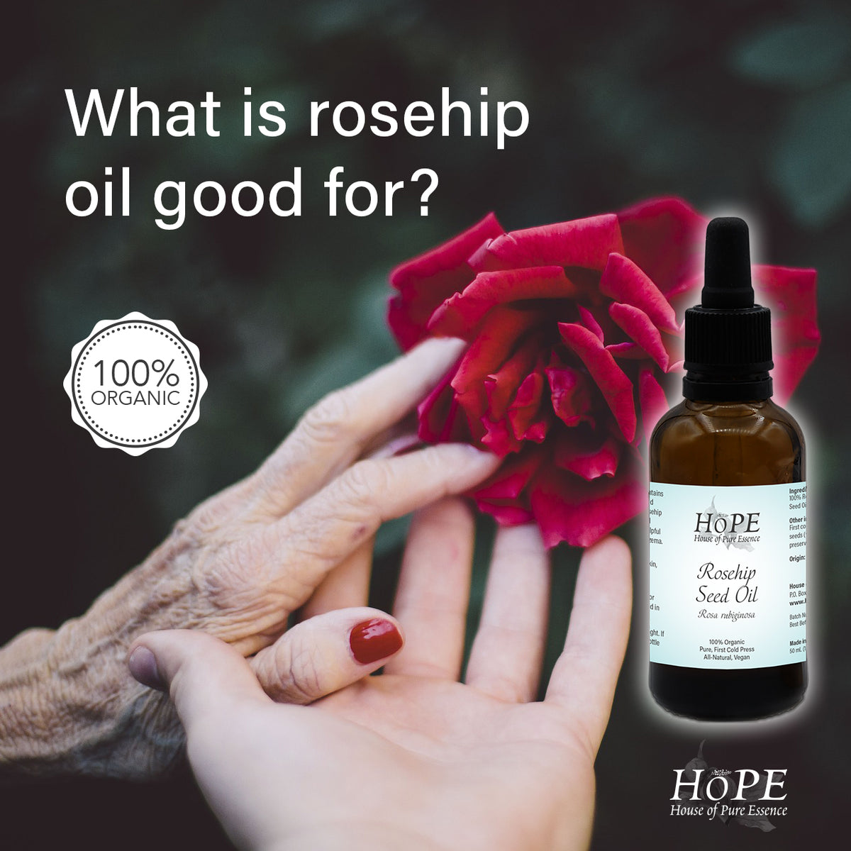 What Is Rosehip Oil Good For? House of Pure Essence (HoPE)
