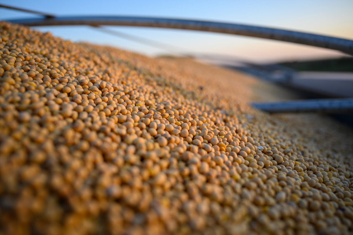 Study: Soybean oil for biofuels has little impact on food prices | Feed & Grain News