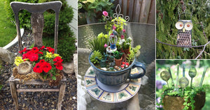 Strange Ways To Use 45 Most Common Household Things In Your Garden!