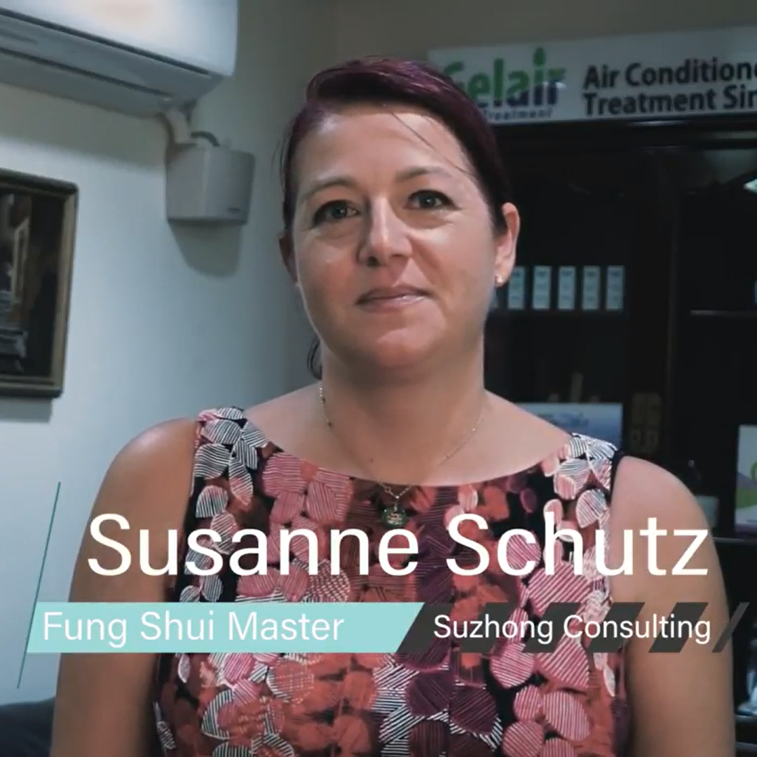 Feng Shui Master Susanne Schutz of Suzhong Consulting recommends Gelair Health-e Split (Video)
