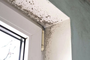 5 Ways to Reduce Mould This Winter