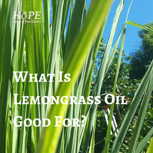 HoPE 100% Organic Pure Lemongrass Essential Oil