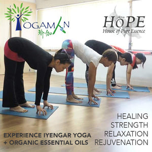 Experience Iyengar Yoga + Organic Essential Oils