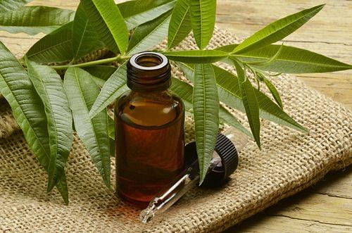 5 benefits of using Tea Tree oil for your hair