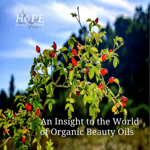 HoPE An Insight to the World of Organic Beauty Oils
