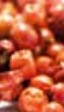 100% Organic Brazilian peppertree (Schinus Terebinthifolia) Essential Oil, 5mL