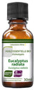 100% Organic Eucalyptus Radiata (Eucalyptus Radiata) Essential Oil